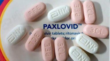 Dr. Agus on what's driving COVID rebound cases after Paxlovid