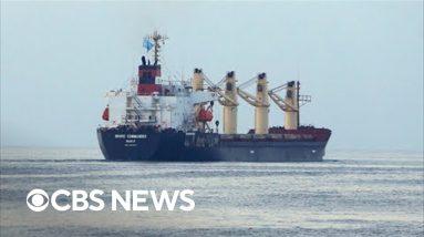 First Ukraine wheat shipments reach Africa under U.N. deal