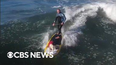 Surfing dog wows on the waves