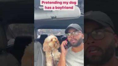 Luna's dad played a prank on her and she had an adorable response. #shorts