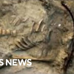 Skeleton of woman suspected of being a vampire in 17th century found in Poland