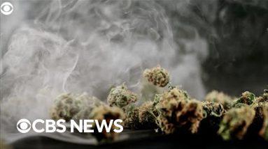 More Americans now smoke cannabis than cigarettes