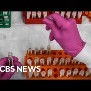 U.S. rolls out updated COVID vaccine boosters