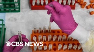 U.S. rolls out updated COVID vaccine boosters