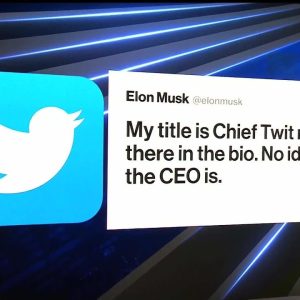 Musk Takes 'Chief Twit' Title at Twitter