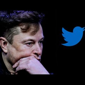 Elon Musk's second week of Twitter ownership proves as chaotic as his first