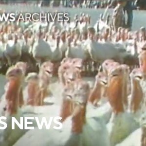 From the archives: 1972 Thanksgiving Turkey Trot in Cuero, Texas