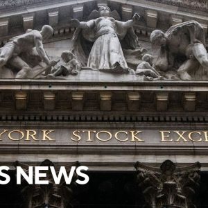 Stock market responds to midterm elections