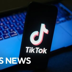 Several states ban TikTok on government-issued devices over security concerns