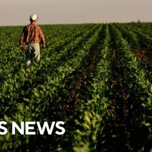 Agriculture Secretary Tom Vilsack discusses rising food prices