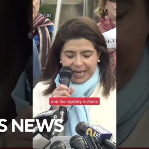 State Sen. Anna Kaplan (D-NY) calls for investigation into Rep.-elect George Santos  #shorts