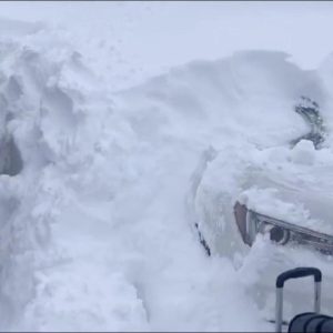 Buffalo Bills players dig out cars buried in snow