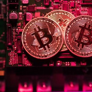 Crypto Report: Signaling a 2023 Slowdown