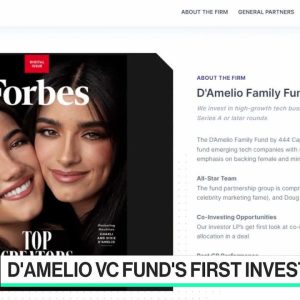D'Amelio Family Announces VC Investments