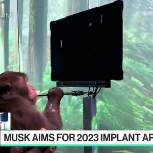 Going Viral: Musk's Neuralink