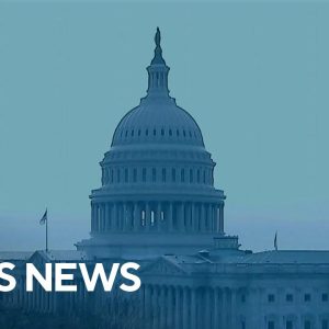 GOP want government spending bill pushed to next year