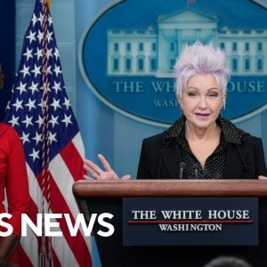 Cyndi Lauper at White House briefing: "We can rest easy" with signing of marriage equality bill