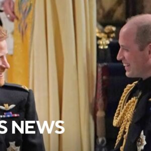 Prince Harry reveals details about his relationship with brother in memoir