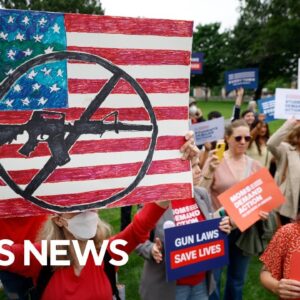 How will the new Congress respond to concerns about gun violence?