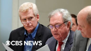 Key witnesses testify at Alex Murdaugh's murder trial, including CFO of his ex-law firm | Day 7