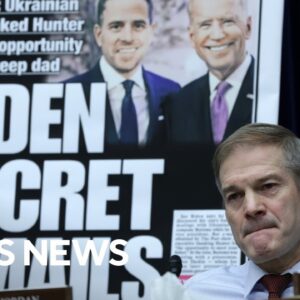 House Oversight Committee holds hearing on Hunter Biden