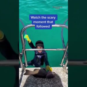 A shark bit an 8-year-old boy during a fishing trip in Australia, leaving a minor bite mark #shorts