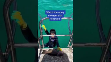 A shark bit an 8-year-old boy during a fishing trip in Australia, leaving a minor bite mark #shorts