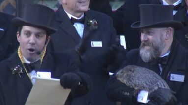 Punxsutawney Phil predicts six more weeks of winter