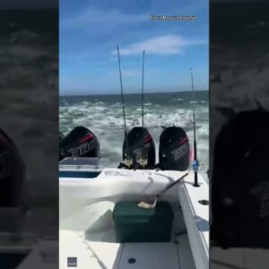 Shark feeding frenzy seen off Louisiana coast #shorts