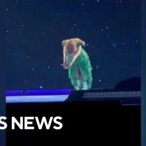 Taylor Swift takes a nose dive on stage