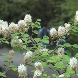 Tips for dealing with spring allergy symptoms