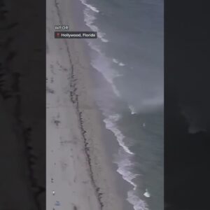 Beachgoers scramble as water spout comes ashore in Florida #shorts