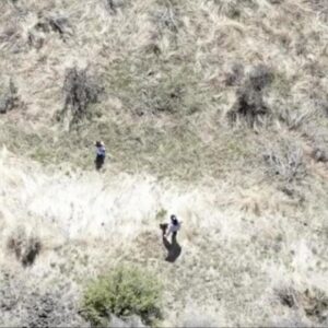 Deputies use drone to find missing 3-year-old girl in Washington