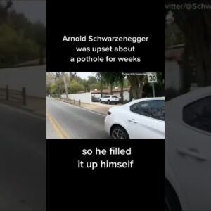 Arnold Schwarzenegger fills what he called a "giant pothole" in his neighborhood's street #shorts