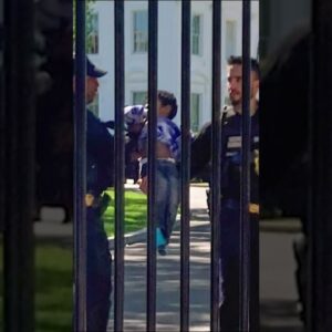 Toddler squeezes through gate at White House #shorts