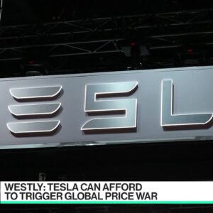 Westly: Tesla Can Afford to Trigger a Global Price War