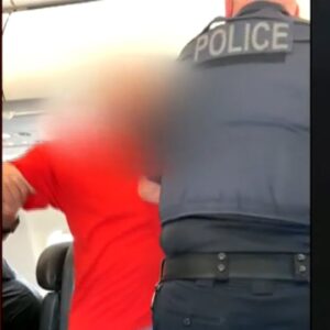 Airline passenger seen punching flight attendant in video