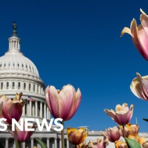 Republican, Democratic strategists talk Durham report, new abortion ban and more