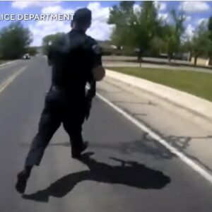 Bodycam video shows police confront New Mexico gunman