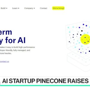 Pinecone and the Rise of Vector Databases