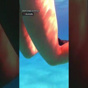 Venomous sea snake scares snorkeler off Australia's east coast #shorts