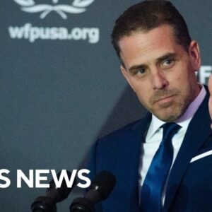 DOJ "slow-walked" tax probe said to involve Hunter Biden, IRS whistleblower says