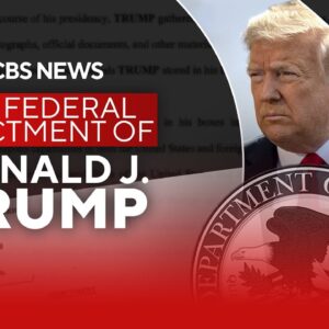 Trump pleads not guilty at federal indictment hearing in Miami | full coverage