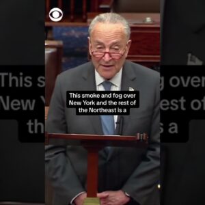 Schumer calls attention to climate change as wildfire smoke blankets northeast #shorts