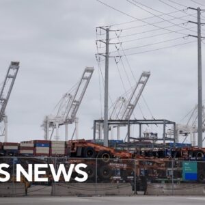Ships backed up at West Coast ports due to labor disputes, triggering trade concerns