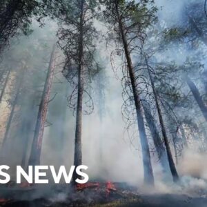 Climate change is making forest fires more severe