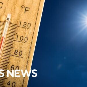 Earth sees third straight day of record heat
