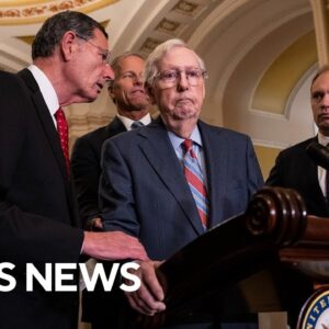 Sen. Mitch McConnell freezes during news conference
