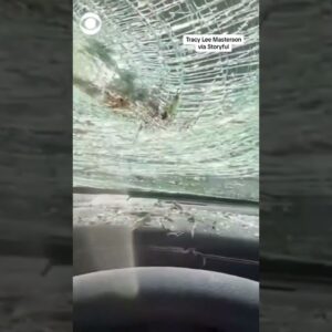 Tree falls on moving car in North Carolina during severe storm #shorts