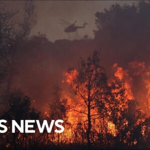 Wildfires prompt largest fire evacuation in Greek history